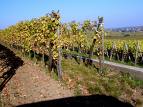 Alsace_France03