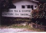 seychelles tea